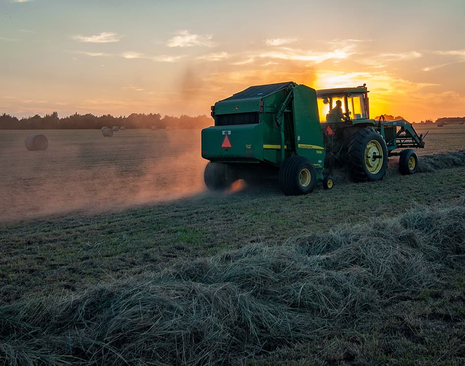Agriculture Professional Leaders